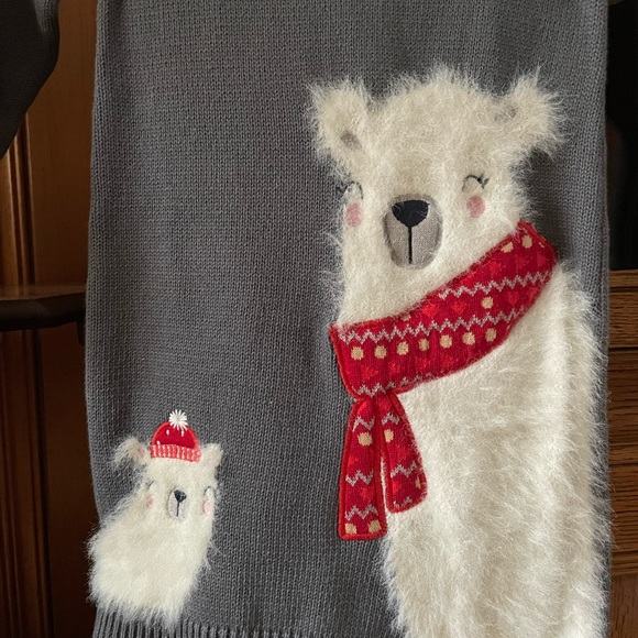 Sweater Dress (3T) - Picture 3 of 6